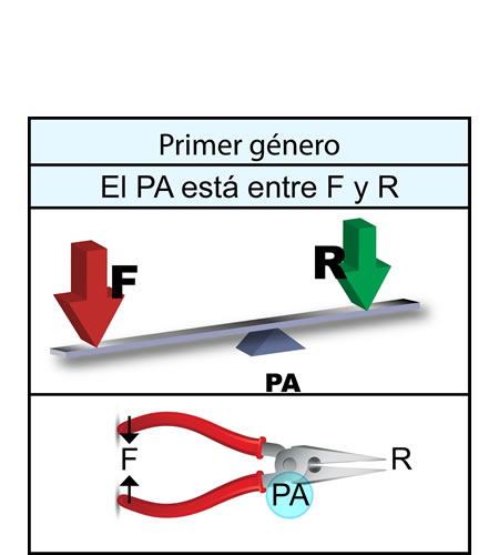 Palanca de primer género